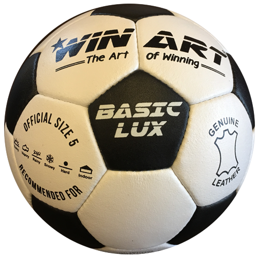 Kožená futbalová lopta, veľkosť 5 WINART BASIC LUX