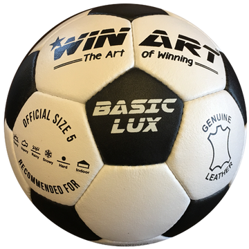 Kožená futbalová lopta, veľkosť 5 WINART BASIC LUX