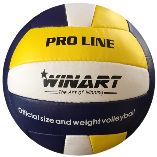 Volejbal WINART PRO LINE č. 5