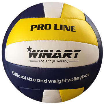 Volejbal WINART PRO LINE č. 5