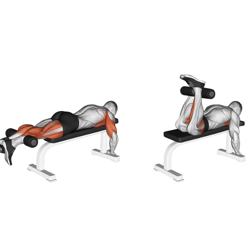 Multifunctional adjustable weight bench with leg developer – S-SPORT